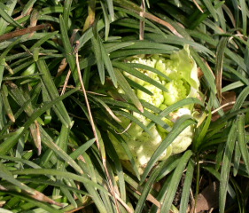 d0068023_23285880.jpg