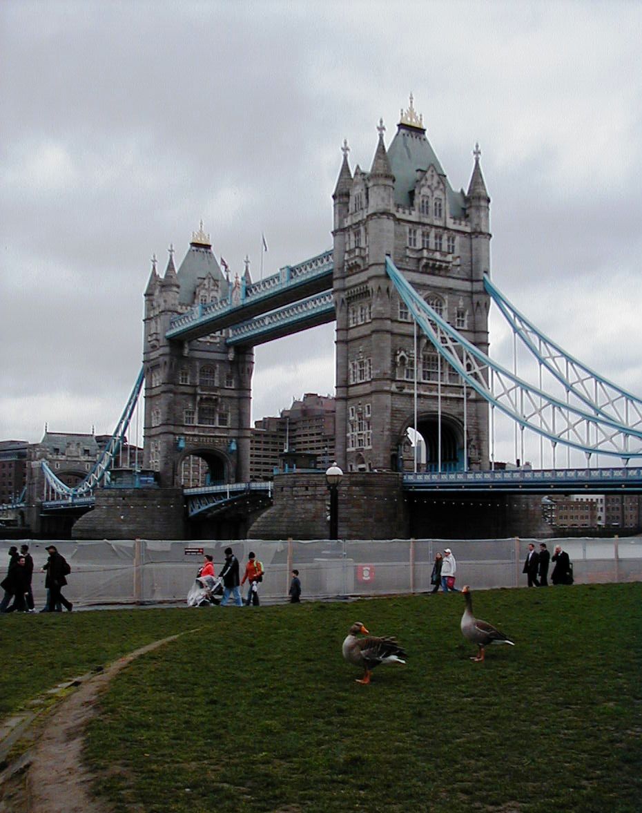 a0055525_14422410.jpg