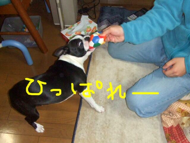 f0059334_10431388.jpg