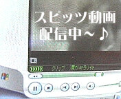 c0046340_2393429.jpg
