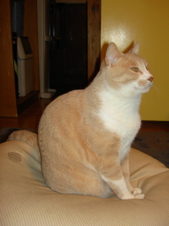 e0058443_122536.jpg