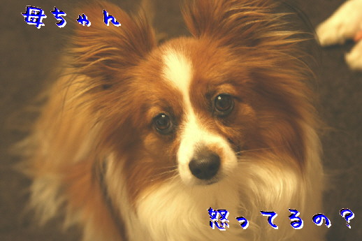 d0013149_0114924.jpg