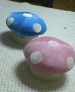f0085061_315451.jpg