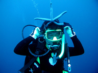 f0052269_1723916.jpg