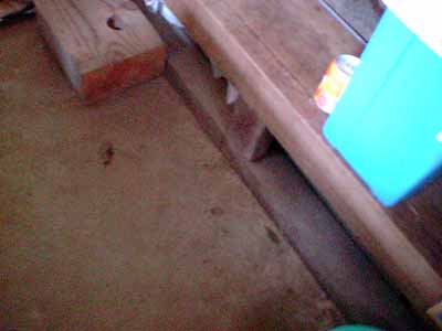 e0066379_0203585.jpg