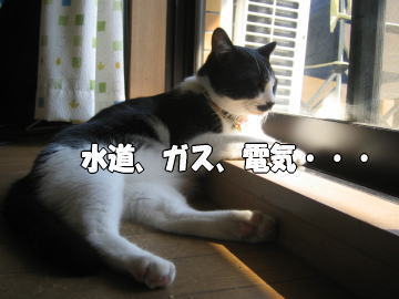 b0041182_8211342.jpg