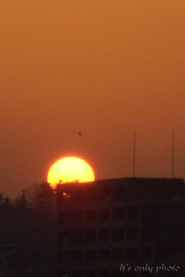 e0008800_0163872.jpg
