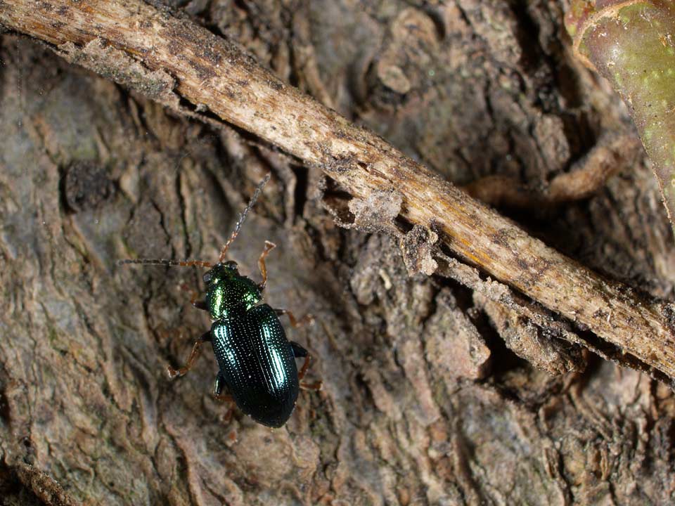 e0049101_20545894.jpg