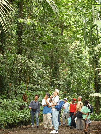 e0089001_21334784.jpg