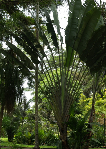 e0089001_21455913.jpg