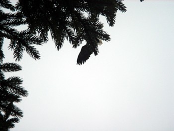 f0020302_1153172.jpg