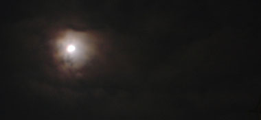 d0018611_22391870.jpg