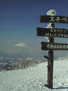 a0015614_731866.jpg