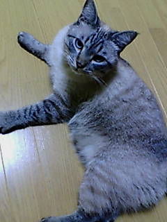 f0059616_85854.jpg
