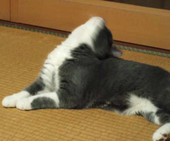 f0032020_14315221.jpg