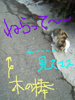 f0033921_20405482.jpg