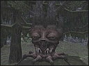c0018823_16155559.gif