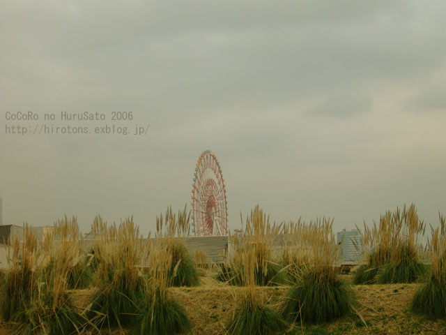 e0016732_23364827.jpg