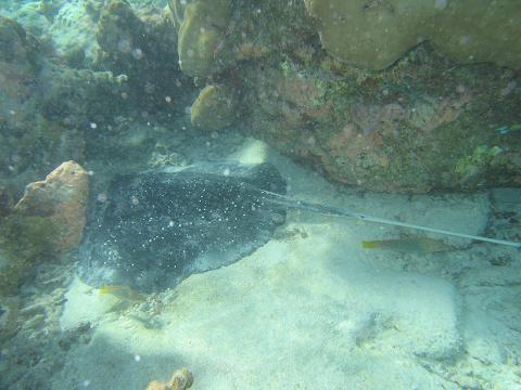 d0047944_2235115.jpg