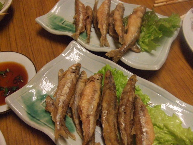 c0071545_10104270.jpg