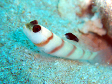 d0065247_21395922.jpg