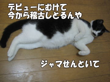 b0041182_033077.jpg