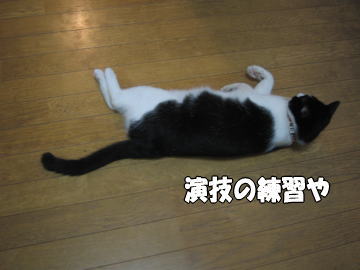 b0041182_03553.jpg