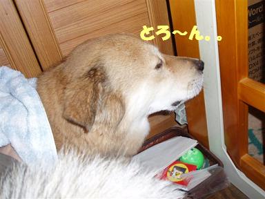 c0000189_11314223.jpg