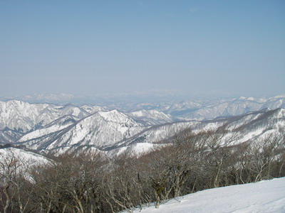 a0043193_20185420.jpg