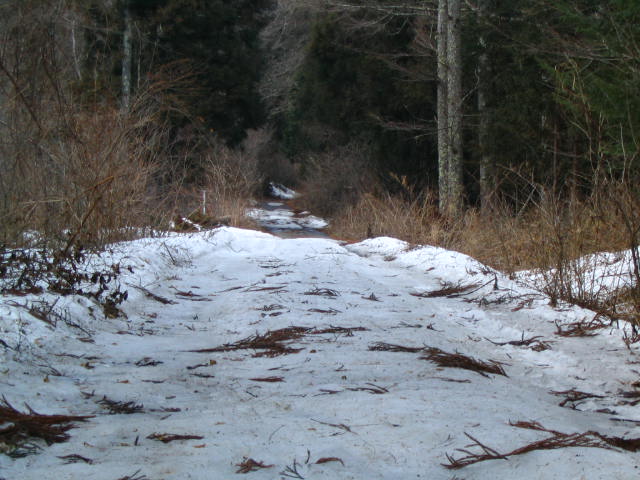 d0049594_203410.jpg