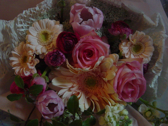 e0028401_252690.jpg