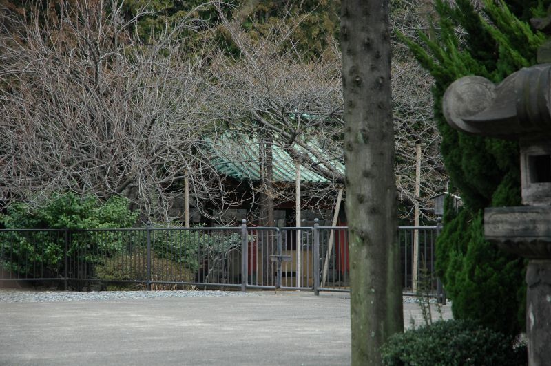 b0042903_2283279.jpg