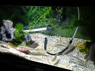 f0034007_16464219.jpg