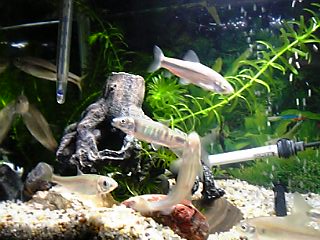 f0034007_16475335.jpg