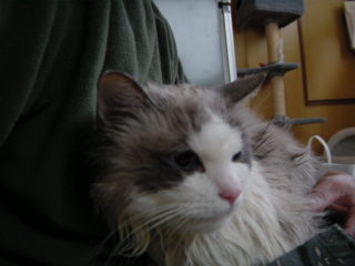 c0024410_20505798.jpg