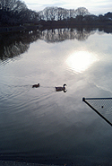 a0052011_21184252.jpg