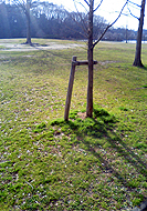 a0052011_21185968.jpg