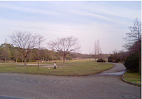 a0052011_2124511.jpg