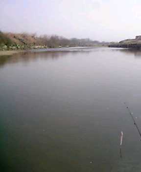 a0049715_21421843.jpg