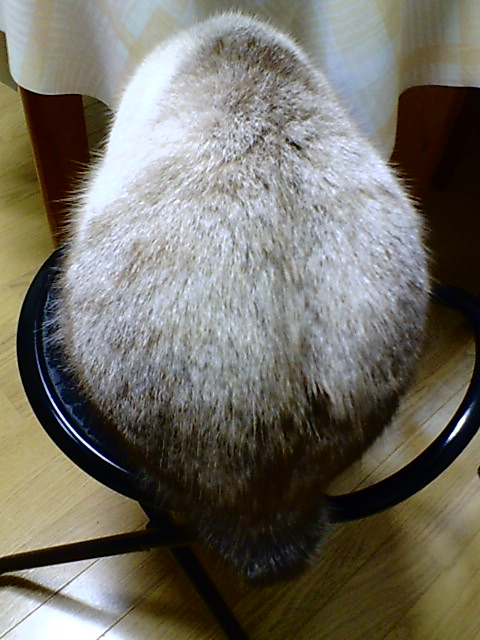 f0059616_13565132.jpg
