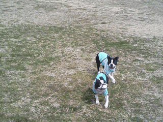e0080117_23454067.gif