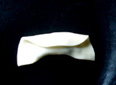 e0067538_13181962.jpg