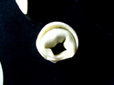 e0067538_1319781.jpg