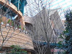a0046339_2372222.jpg