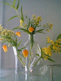 e0034641_15344097.jpg