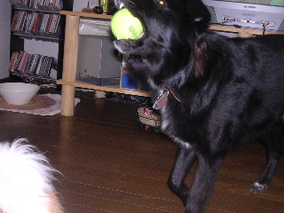 c0065643_21492998.jpg