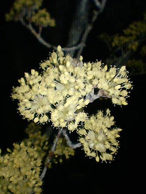 e0034047_22243277.jpg