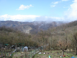 c0068149_3474755.jpg