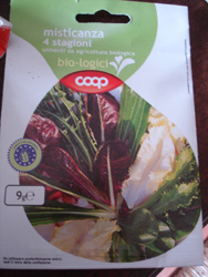 c0068149_3565980.jpg
