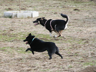 a0009750_1117829.jpg